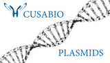 Plasmids X - Y