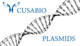 Plasmids H