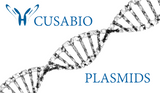 Plasmids U