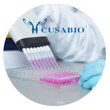 Food Safety & Drug Residues Elisa