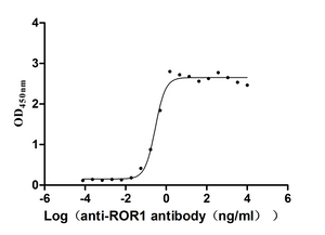 Recombinant Human Inactive tyrosine-protein kinase transmembrane receptor ROR1 (ROR1) ,partial (Active) Activity