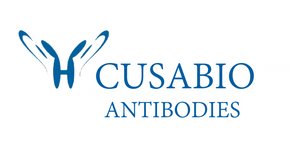 Anti-Bovine Antibodies
