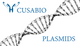 Plasmids X - Y