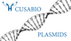 Plasmids W