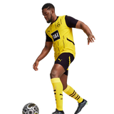 Borussia Dortmund 24/25 Authentic Men's Home Shirt