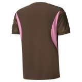 Manchester City 24/25 Kid's Brown Goalkeeper Shirt and Shorts