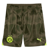 Borussia Dortmund 24/25 Kid's Olive Goalkeeper Shirt and Shorts