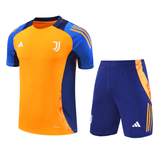 Juventus 24/25 Men's Orange Training Shirt