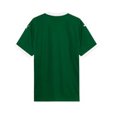 Palmeiras 25/26 Stadium Men's Home Shirt