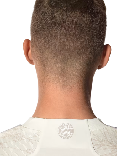 MÜLLER #25 Bayern Munich 23/24 Authentic Men's Third Shirt