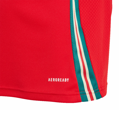 Wales 2024 Kid's Home Shirt and Shorts