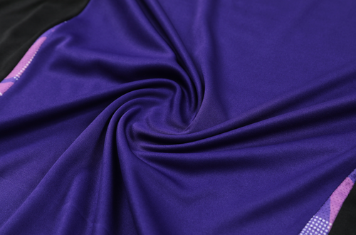 Germany 2024 Men's Purple Training Shirt