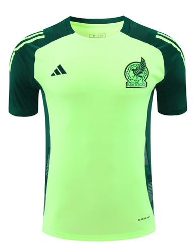 Mexico 2024 Men's Green Training Shirt