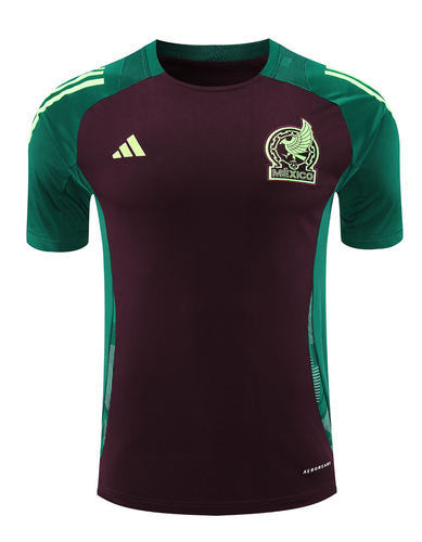 Mexico 2024 Men's Bordeaux Training Shirt