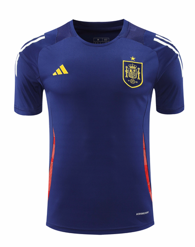 Spain 2024 Men's Navy Training Shirt
