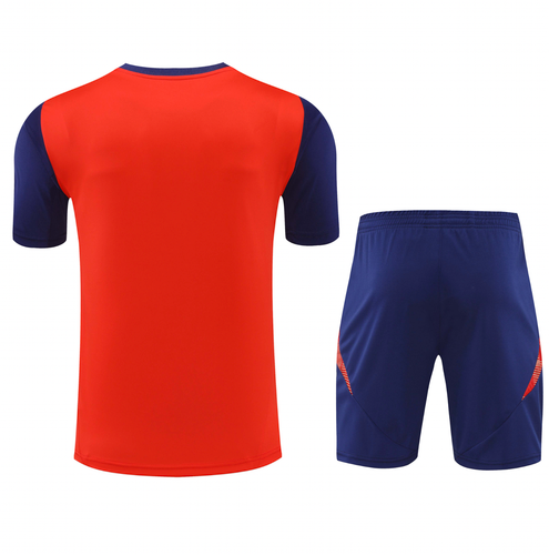 Spain 2024 Men's Red Training Shirt