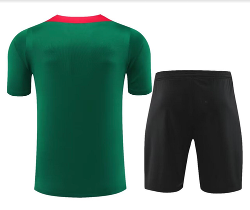 Liverpool 24/25 Men's Green Training Shirt