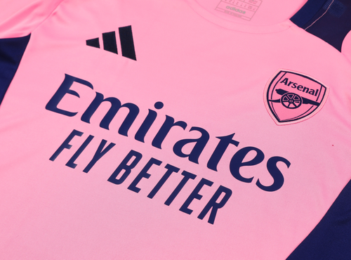 Arsenal 24/25 Men's Pink Training Shirt