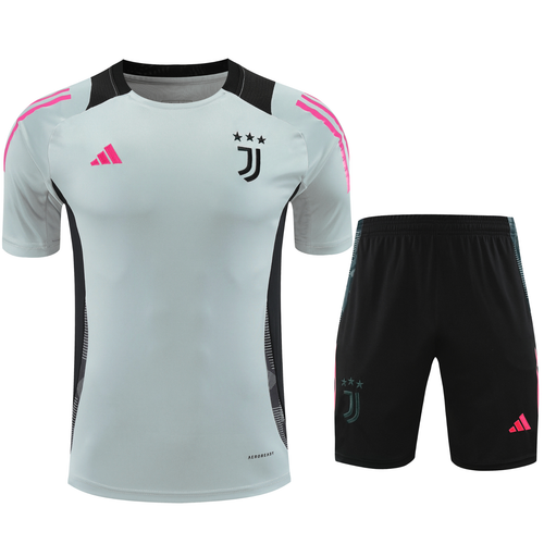 Juventus 24/25 Men's Gray Training Shirt