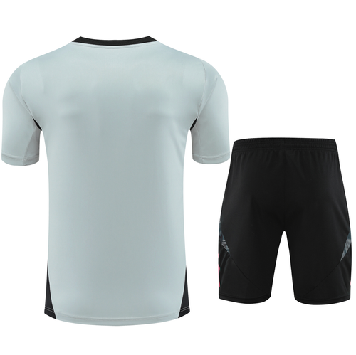 Juventus 24/25 Men's Gray Training Shirt