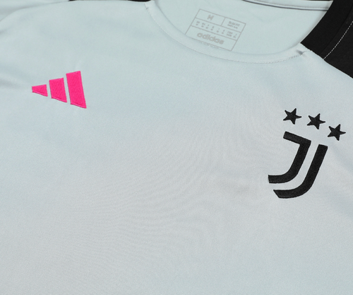 Juventus 24/25 Men's Gray Training Tank Top