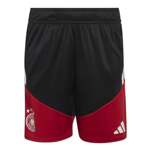 Germany 2026 Men's White Training Polo