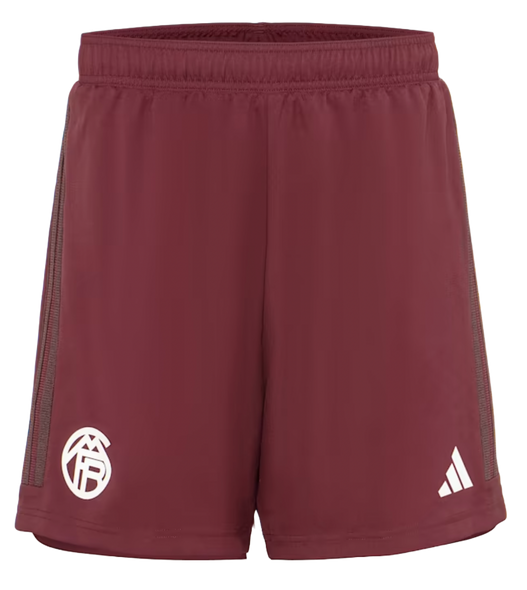 Bayern Munich 23/24 Authentic Men's Third Shirt
