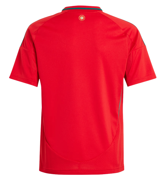 Wales 2024 Kid's Home Shirt and Shorts