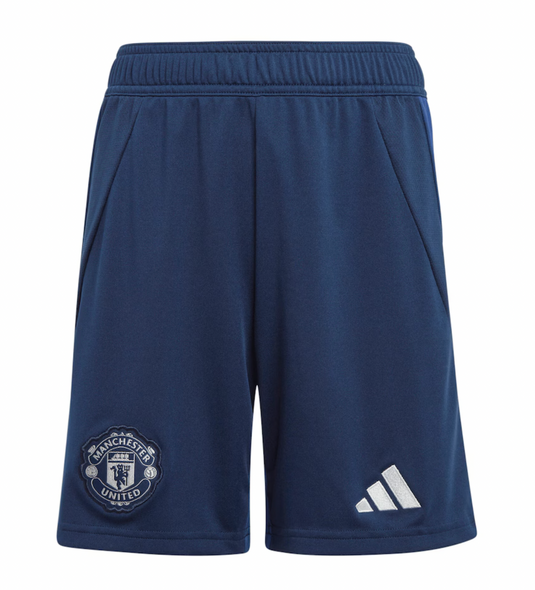 Manchester United 24/25 Men's Away Long Sleeve Shirt