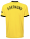 Borussia Dortmund 23/24 Authentic Men's Home Shirt