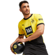 Borussia Dortmund 23/24 Authentic Men's Home Shirt