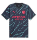 Manchester City 23/24 Authentic Men's Third Shirt