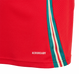 Wales 2024 Kid's Home Shirt and Shorts
