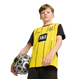 Borussia Dortmund 24/25 Kid's Home Shirt and Shorts