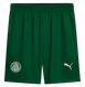 Palmeiras 25/26 Stadium Men's Away Shirt