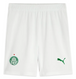 Palmeiras 25/26 Authentic Men's Home Shirt