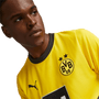 Borussia Dortmund 23/24 Stadium Men's Home Shirt