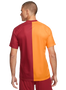 Galatasaray 23/24 Stadium Men's Home Shirt