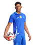 Argentina 2024 Authentic Men's Away Shirt