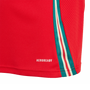 Wales 2024 Kid's Home Shirt and Shorts