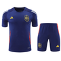 Spain 2024 Men's Navy Training Shirt