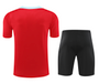 Barcelona 24/25 Men's Red Training Shirt