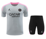 Paris Saint-Germain 24/25 Men's Gray Training Shirt