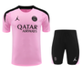 Paris Saint-Germain 24/25 Men's Pink Training Shirt