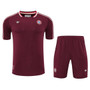 Bayern Munich 25/26 Men's Bordeaux Terrace Icon Shirt