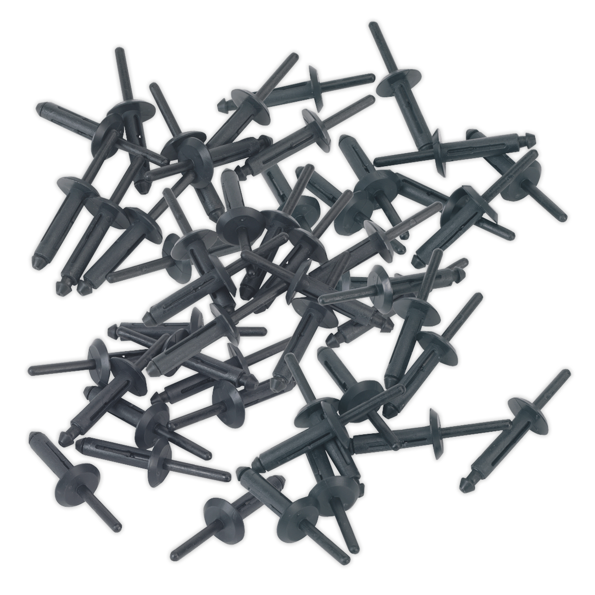 Plastic Rivet åø6.3 x 25.2mm Pack of 50 (PR002)