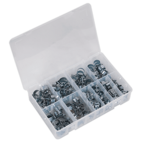 Mini Hose Clip Assortment 100pc (AB042MH)