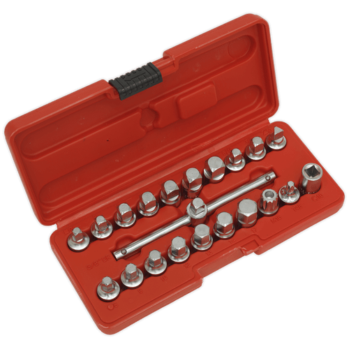Oil Drain Plug Key Set 21pc 3/8"Sq Drive (AK6586)