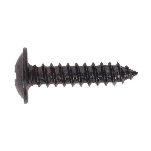 Self Tapping Screw 4.2 x 19mm Flanged Head Black Pozi Pack of 100 (BST4219) Self Tapping Screw 4.2 x 19mm Flanged Head Black Pozi Pack of 100 (BST4219)
