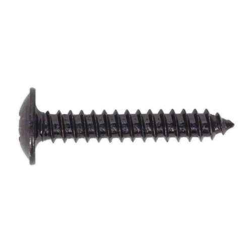 Self Tapping Screw 4.2 x 25mm Flanged Head Black Pozi Pack of 100 (BST4225)